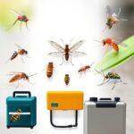 10 أسباب لاختيار شركة مكافحة الحشرات الزاحفة والطائرة بالطائف